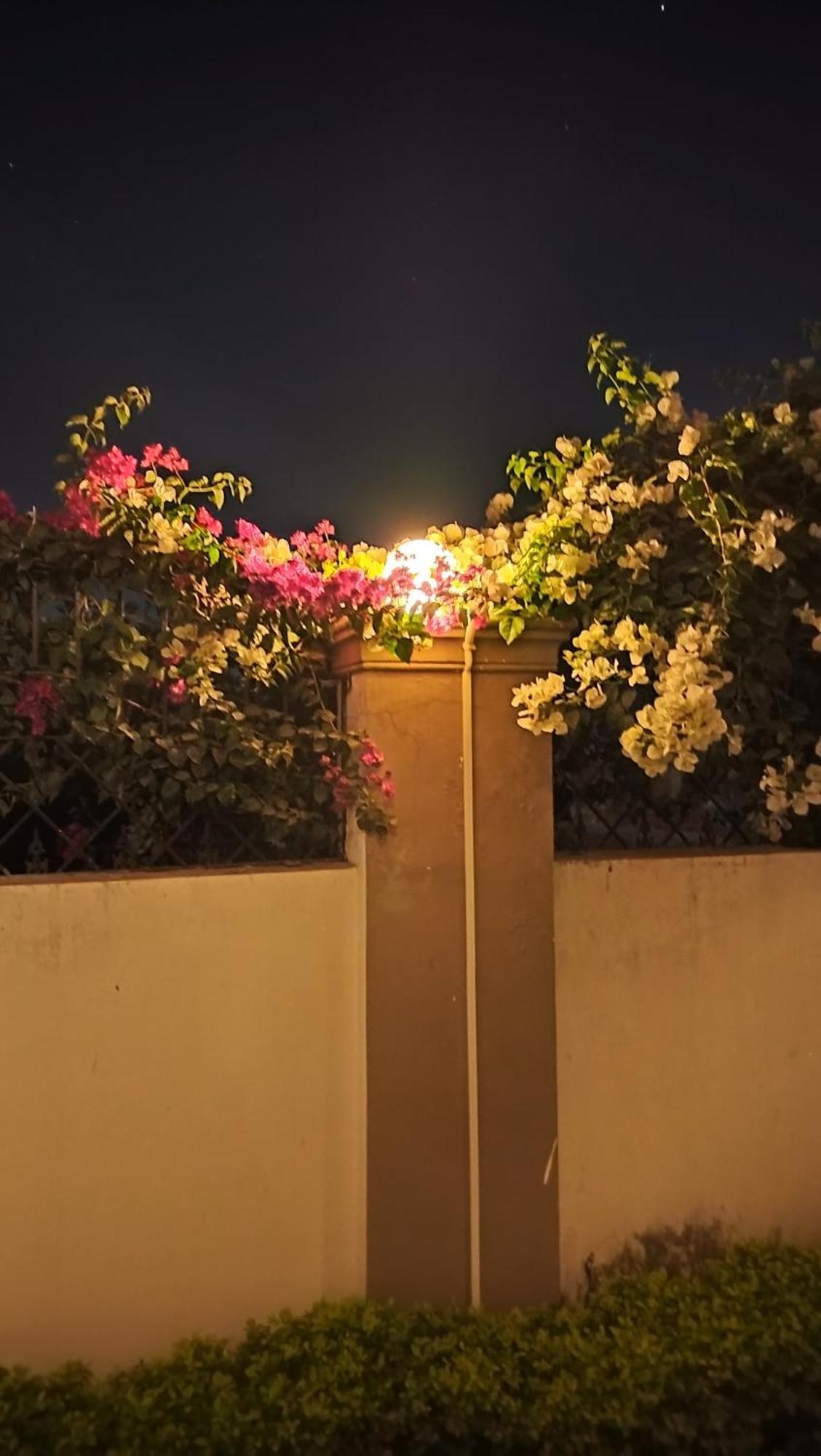 Shree Nanda Guest House Varanasi Exteriör bild